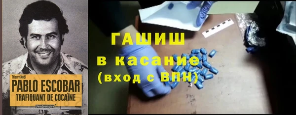 сатива Кулебаки
