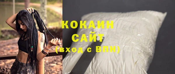 сатива Кулебаки