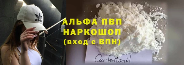 сатива Кулебаки
