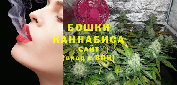 сатива Кулебаки