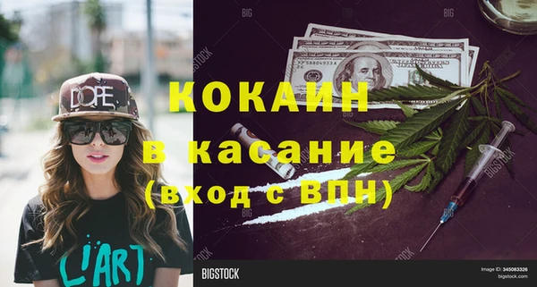 сатива Кулебаки