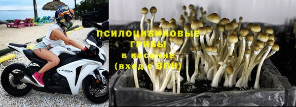 кокс Лабытнанги