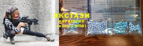 сатива Кулебаки