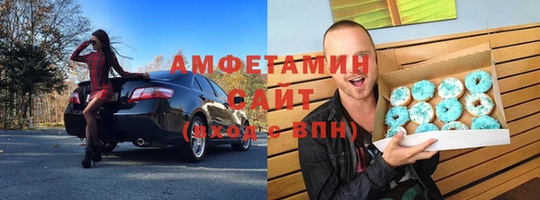 сатива Кулебаки