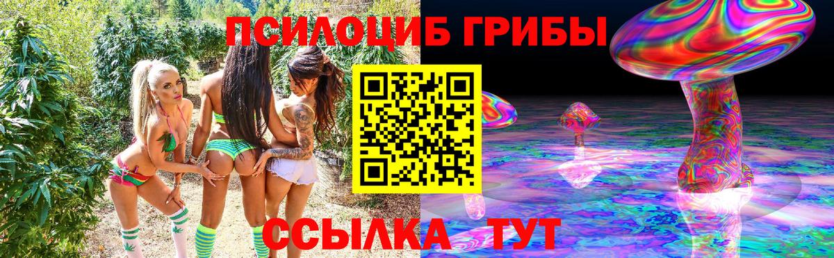 Галлюциногенные грибы GOLDEN TEACHER  Малгобек  Галлюциногенные грибы Psilocybe 