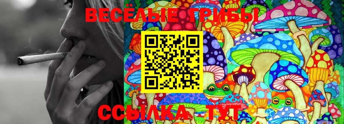 Псилоцибиновые грибы MAGIC MUSHROOMS Малгобек