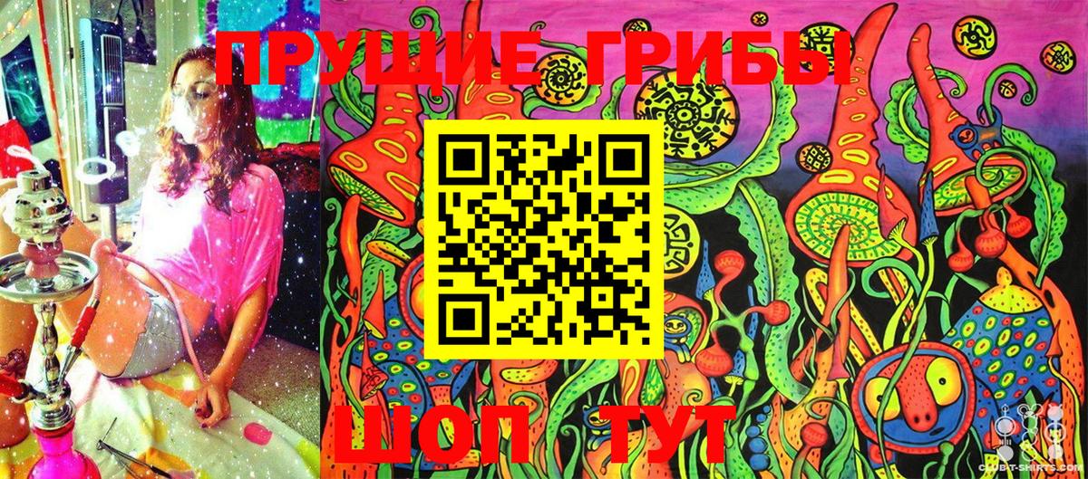 Малгобек  Галлюциногенные грибы прущие грибы  Вход с VPN  Галлюциногенные грибы Psilocybe 