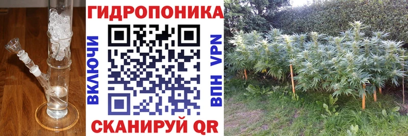 Канабис THC 21%  дарнет шоп  Малгобек 